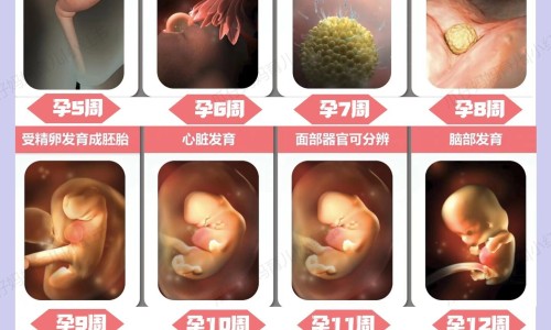 打升红细胞针会发烧吗-升红细胞的药注射、升红细胞针副作用大吗 -升红细胞针副作用网