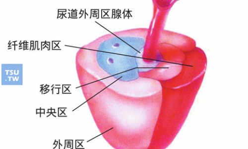 升红细胞针副作用大吗-升红细胞的药注射、升红细胞针副作用大吗 -升红细胞针副作用网