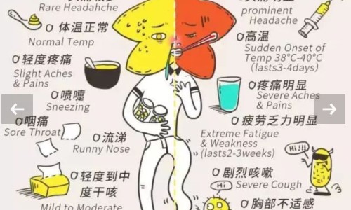打升红细胞针会发烧吗-升红细胞的药注射、升红细胞针副作用大吗 -升红细胞针副作用网