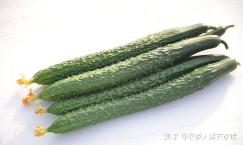打升红细胞针会发烧吗-升红细胞的药注射、升红细胞针副作用大吗 -升红细胞针副作用网